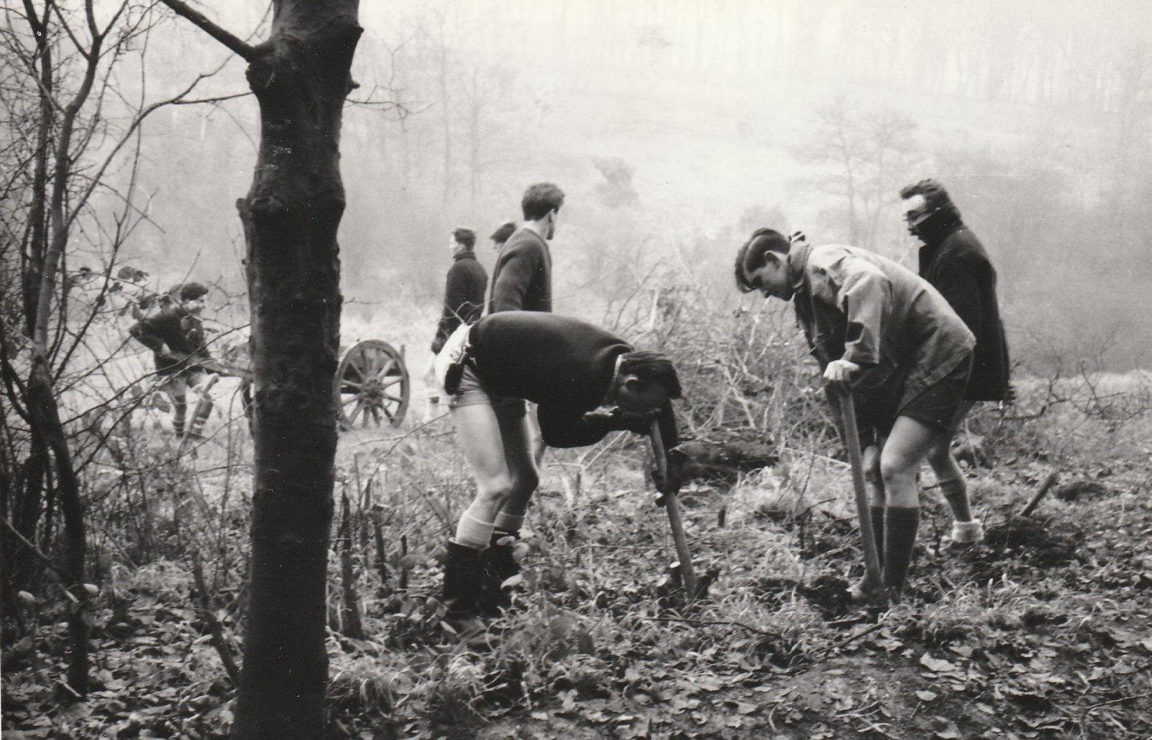 Downe - 1963